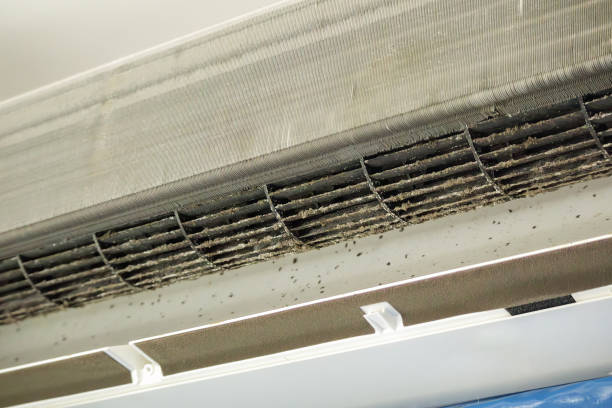 Best Air Duct Cleaning Near Me  in Bridgetown, OH